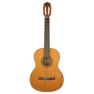 Классическая гитара Salvador Cortez CC-06 Изображение