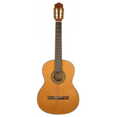 Гітара класична Salvador Cortez CC-06 Зображення