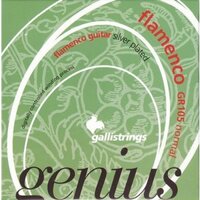 Струны для классической гитары GALLI Genius Flamenco GR105 Normal Tension Изображение