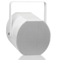 Акустическая система AMC SPM 10HP Изображение