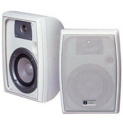 Акустическая система Amis Install10W Изображение