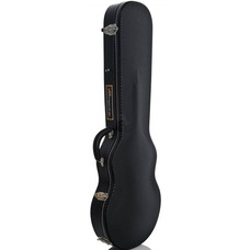 Кейс для электрогитары Ampeg ADA6 Case Изображение