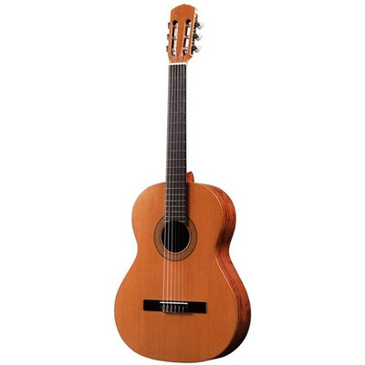 Классическая гитара Antonio Sanchez S-20 Cedar Изображение