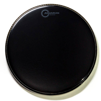 Пластик для тома Aquarian REF10 Зображення