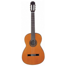 Классическая гитара Aria AC 25BB Изображение