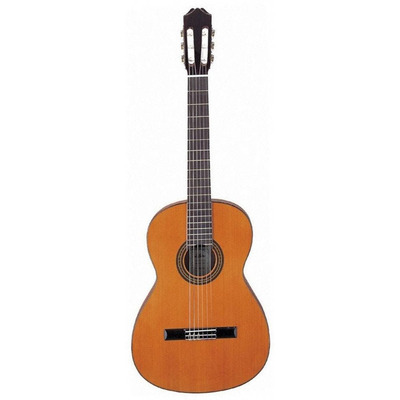 Классическая гитара Aria AC 25BB Изображение