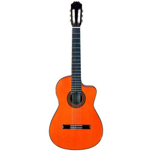 Електроакустична гітара Aria AC 25CE Зображення