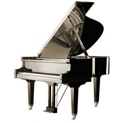 Рояль August Foerster 170 walnut satin Зображення