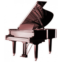 Рояль August Foerster 190 cherry satin Зображення