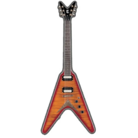 Электрогитара J&D Brothers JD V300 CS Изображение