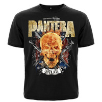 Футболка Pantera (flamming skull) Зображення