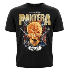 Футболка Pantera (flamming skull) Изображение