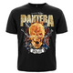 Футболка Pantera (flamming skull) Изображение