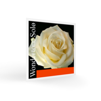 Комплект струн для скрипки Pirastro Wondertone Solo Изображение