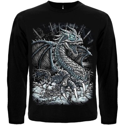 Футболка с длинным рукавом Dragon In Chains Изображение