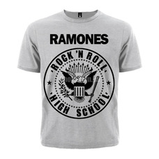 Футболка Ramones Rock'n'Roll (меланж) Изображение