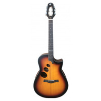 Акустическая гитара Alfabeto Gamma (Sunburst) + чехол Изображение