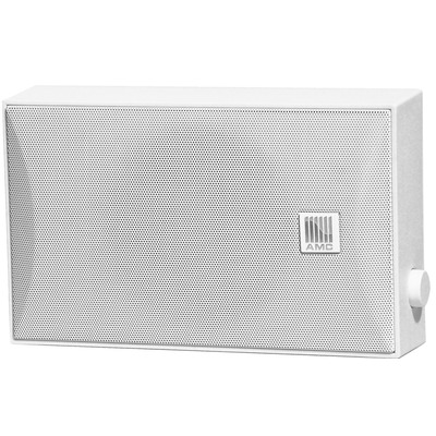 Настенный громкоговоритель AMC ISPEAK 5R WHITE Изображение