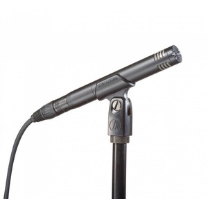 Студийный конденсаторный микрофон Audio-Technica AT2031 Изображение