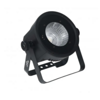 Светодиодный прожектор Sagitter SG SLIMPARCOB100 Изображение