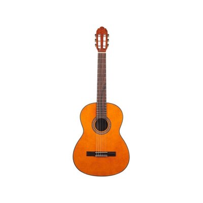 Класична гітара VGS Student Natural 4/4 Зображення