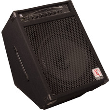 Гитарный комбо Eden E15-E Изображение