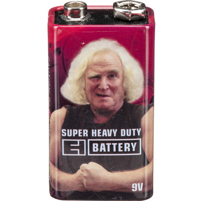 Батарейка для педалей Electro-harmonix 9 VOLT VINTAGE STYLE BATTERY Зображення