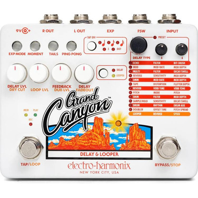 Гитарная педаль Electro-harmonix Grand Canyon Delay and Looper Изображение