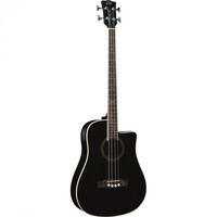 Электроакустическая бас-гитара Eko Guitars NXT Bass B100ce (See Thru Black) Изображение