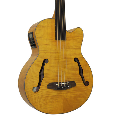 Електроакустична бас-гітара Aria FEB-F2M/FL STBR Зображення