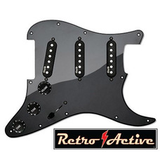 EMG RA2-Black - панель со звукоснимателями Изображение