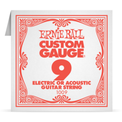 Струна одинарная эл.+ак. Ernie Ball P01009 Изображение