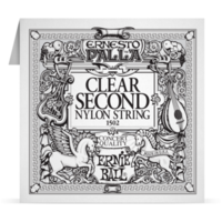 Струна одинарная эл. гіт. Ernie Ball P01502 Изображение