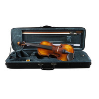 Скрипковий комплект Prima P-300 4/4 Зображення