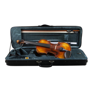 Скрипковий комплект Prima P-300 4/4 Зображення