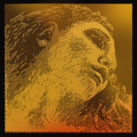 Струна Ре Pirastro Evah Pirazzi Gold 4/4 для виолончели Изображение