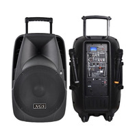 Автономная активная акустическая система NGS PMQ12AVX 12", 250Вт Изображение