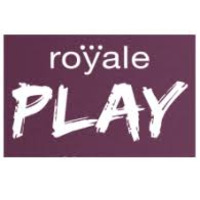Магнитный звукосниматель для акустической гитары Royalplay PM1 Bronze Изображение
