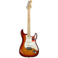 Електрогітара Fender American Professional Stratocaster (Ash) Mn Ssb (113012747) Зображення