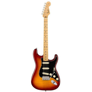 Електрогітара Fender Rarities Flame Ash Top Stratocaster (176502873) Зображення