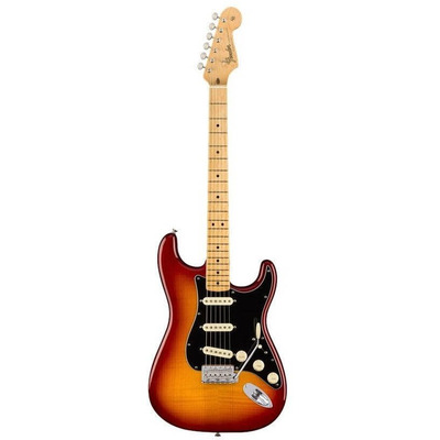 Електрогітара Fender Rarities Flame Ash Top Stratocaster (176502873) Зображення