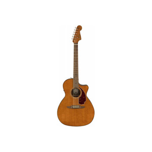 Електроакустична гітара Fender Newporter Player Mocha Wn (970743020) Зображення