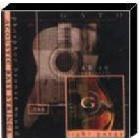 Струни для бас-гитары Gato ABF 20 Изображение