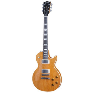 Электрогитара Gibson Les Paul Standard Mahogany Top Limited 2016 (LPSMT16NACH1) Изображение