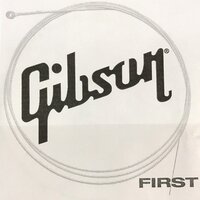 Струна для электрогитары Gibson SEG-700ULMC First Single String 009 Изображение
