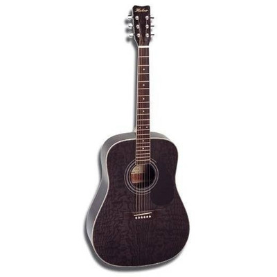 Акустическая гитара Hohner HW 420-TBK Изображение