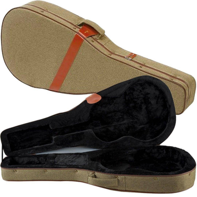 Чехол для гитары Ibanez FS40CL Изображение