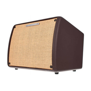 Комбоусилитель для акустической / классической гитары Ibanez T30II Изображение