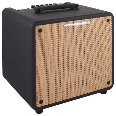 Комбопідсилювач Ibanez T80N Зображення