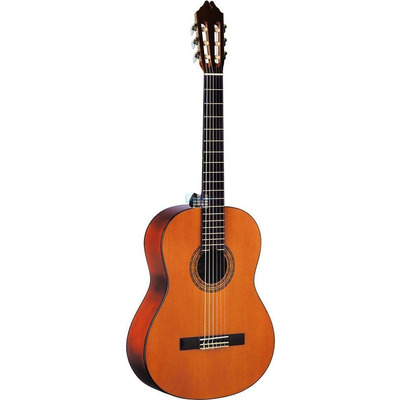 Акустическая гитара Jay Turser JJC 45 Изображение